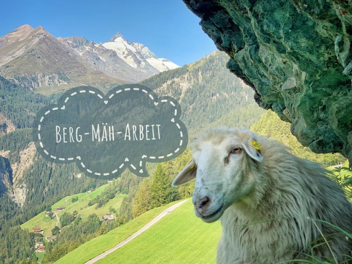 Ferienhof Oberer Gollmitzer Heiligenblut Buitenkant foto